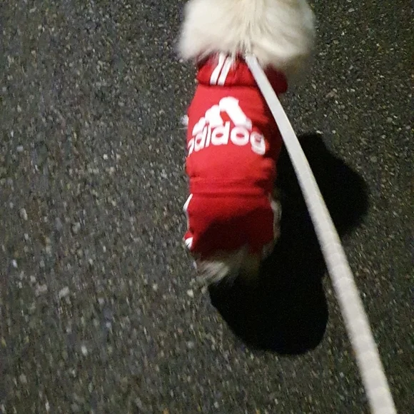 Dogs Hoodies Fleece Warm Dog Clothes - Picture 8 of 11